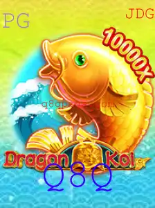 Descubra o Universo de DragonKoi
